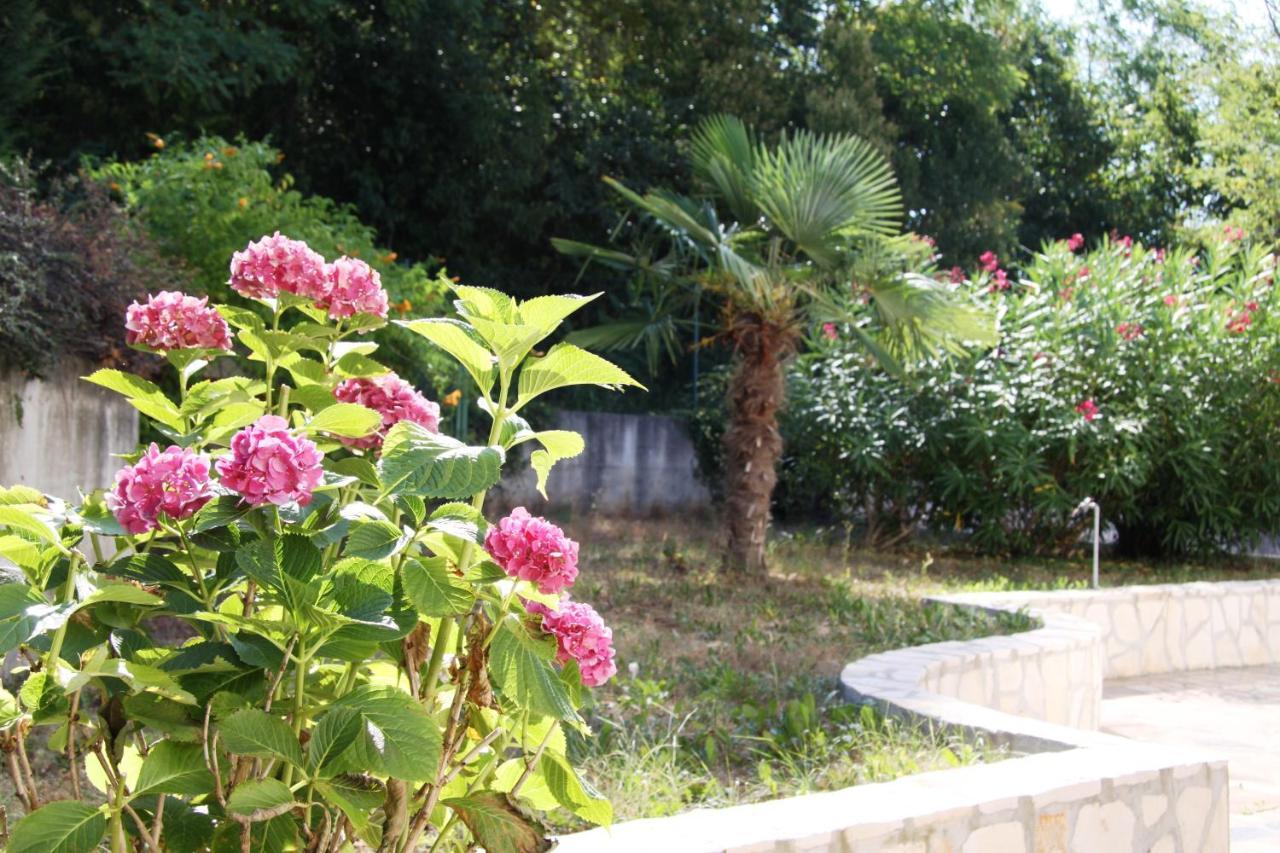 Apartamento Vienna Zambratija (Istria)